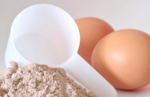 whey protein vs egg