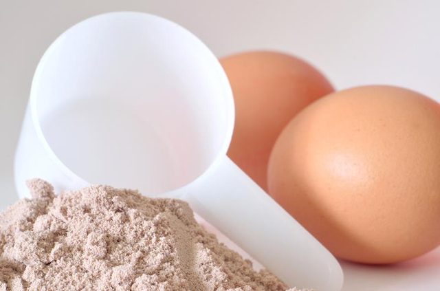 whey protein vs egg