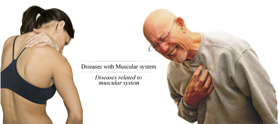 Diseases with Muscular system