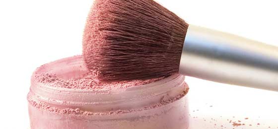 Make Up Tips Blush