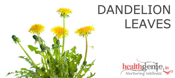 dandelion-leaves