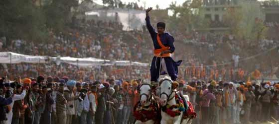 punjab warrior holi