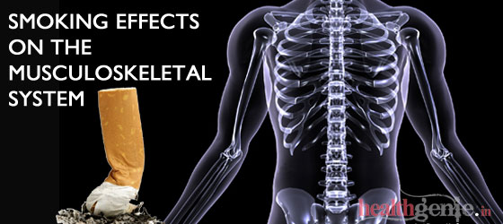 musculoskeletal-system