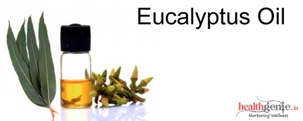 Eucalyptus-Oil