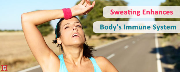 Sweating-Enhances-Body's-Immune-System