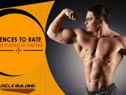 creating for bodybuilding