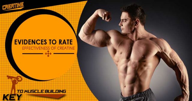 creating for bodybuilding