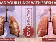 6 ways to purify lungs