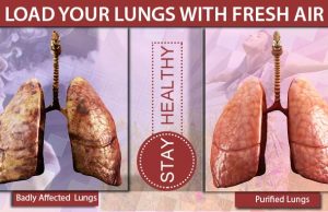 6 ways to purify lungs