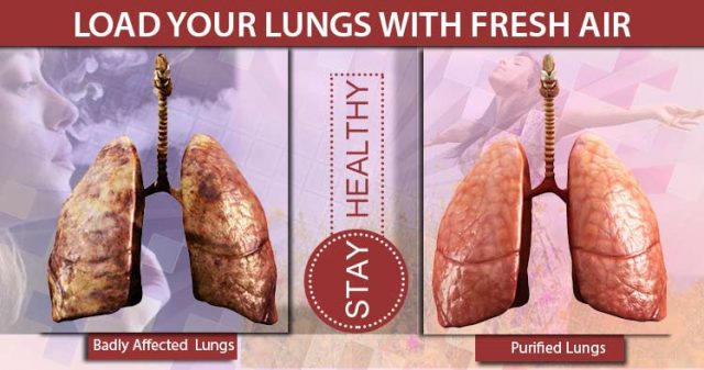 6 ways to purify lungs