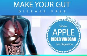 apple cide vinegar for digestion