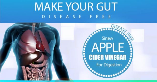 apple cide vinegar for digestion