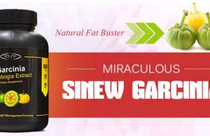 sinew garcinai cambogia extract