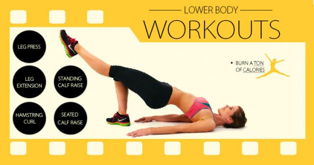 exercise for lower body workout