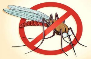 home remedies to treat malaria