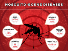 TYPES OF MOSQUITO BORNE DISEASES