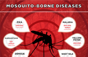 TYPES OF MOSQUITO BORNE DISEASES