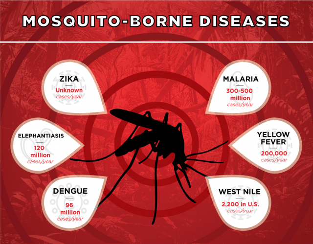 TYPES OF MOSQUITO BORNE DISEASES